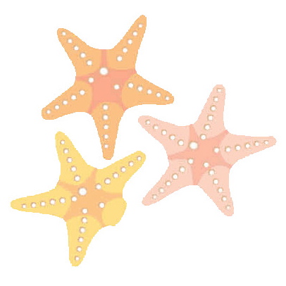 3 sea stars, one missing an arm